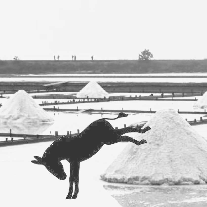 Black and white photograph of a jumping mule silhouette